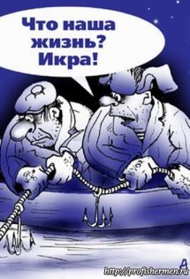 cartoon_005