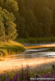 nature_001