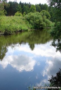 nature_007