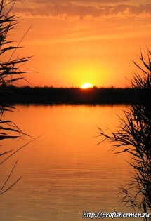nature_008
