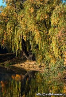 nature_009