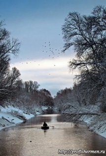 nature_011