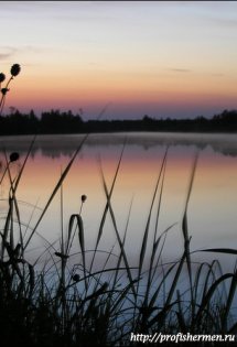 nature_012