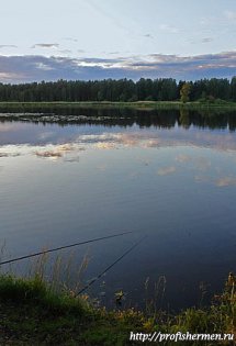 nature_013