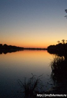 nature_019