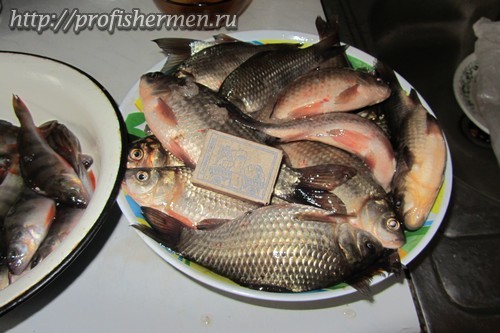 Зимний карась