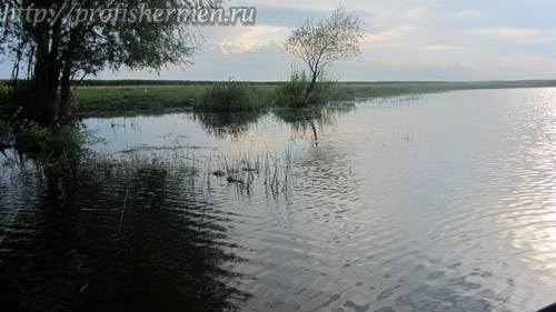 Новознаменка пруд Новознаменка пруд