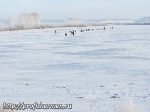 На льду рыбаки, но карась не клюет