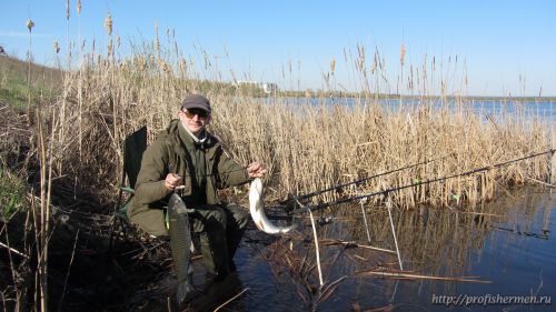 Открытие сезона жидкой воды на платнике в Бокино