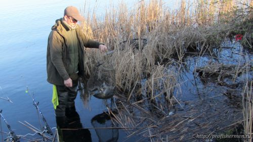 Весенняя  рыбалка в Бокинском рыбхозе