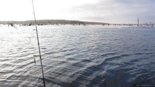 Закрытие сезона открытой воды 2015. Коряжник на Котовском водохранилище.