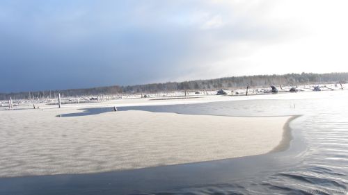 Закрытие сезона открытой воды 2015. Рыбалка Лесной Тамбов.